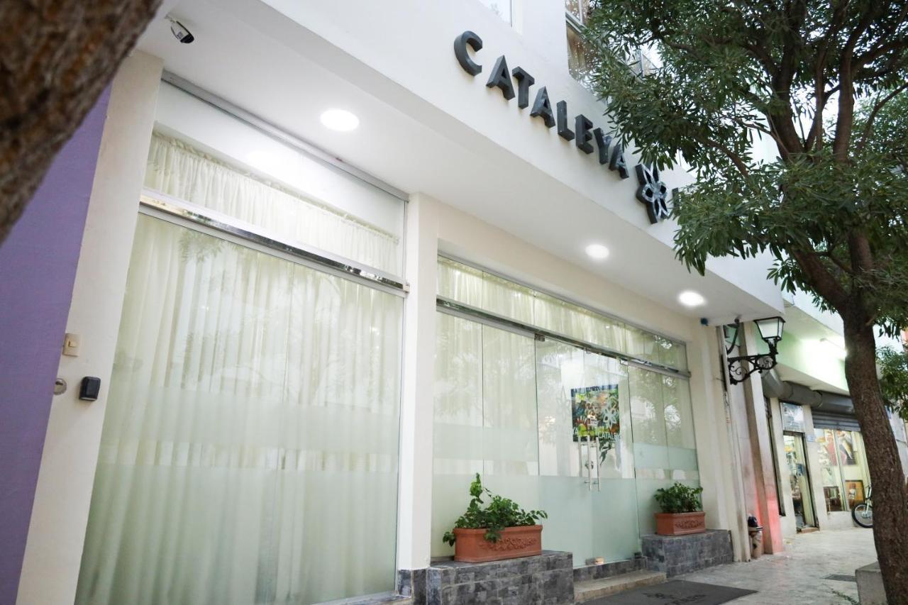Cataleya Hotel ซานโตโดมิงโก ภายนอก รูปภาพ